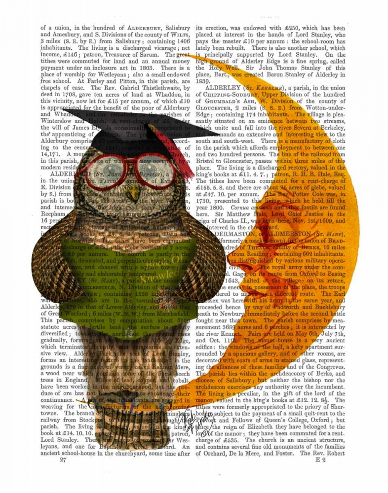 Owl On The Moon