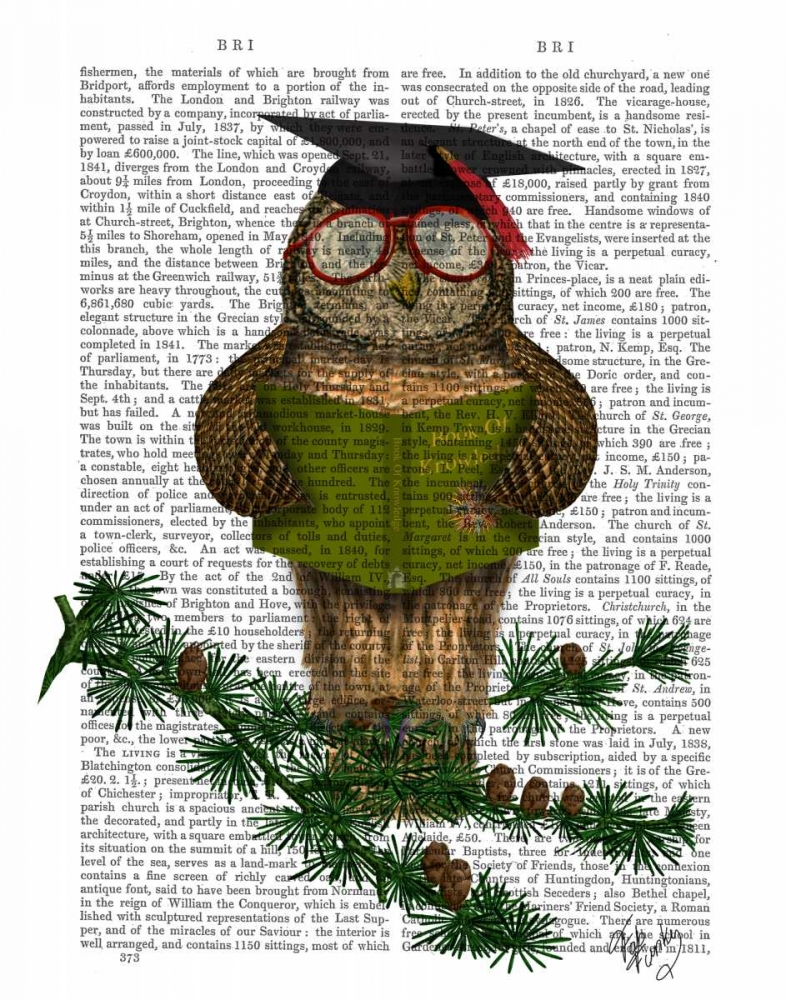 Owl Reading On Branch