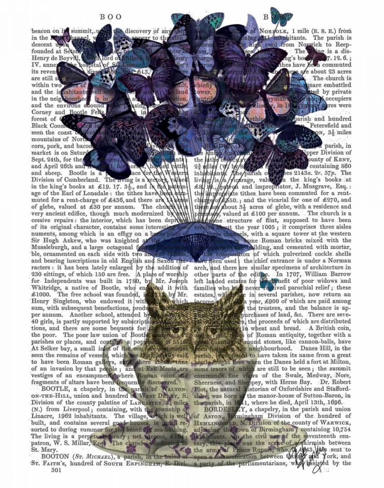 Owl In Teacup