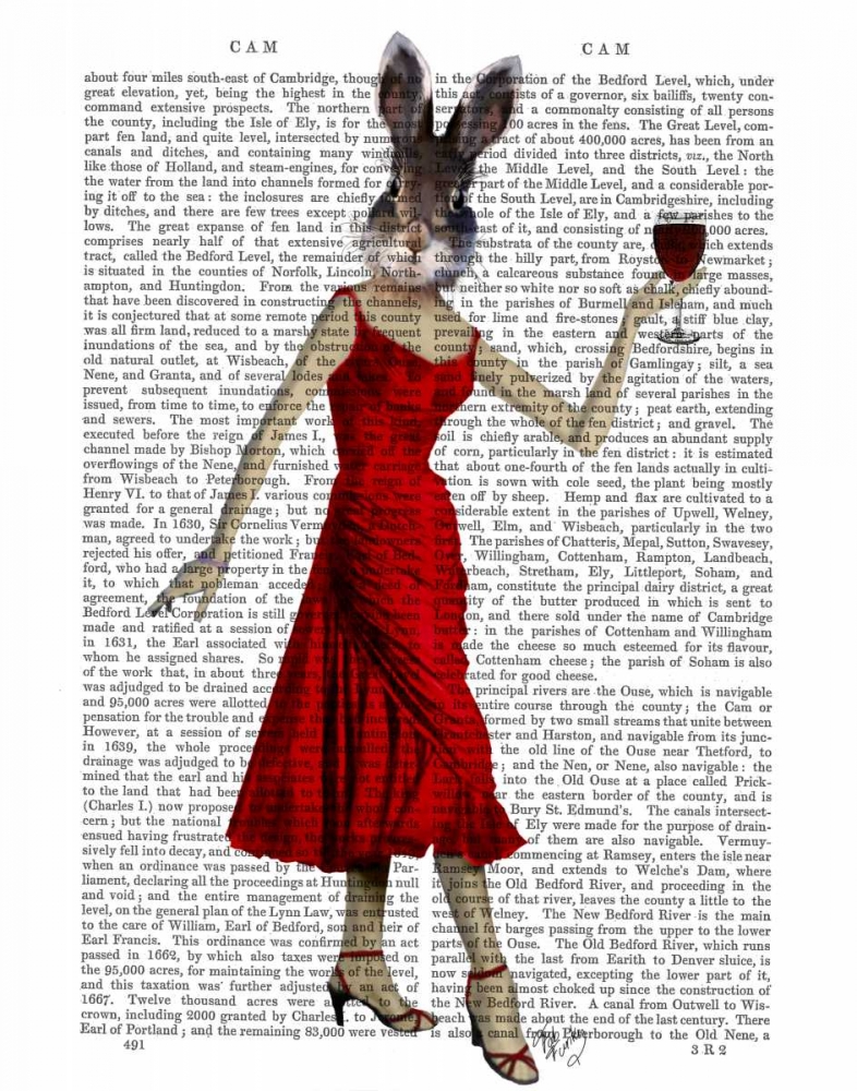 Rabbit in Red Dress