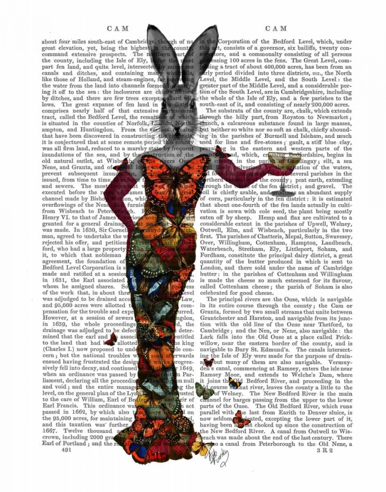 Rabbit Butterfly Dress
