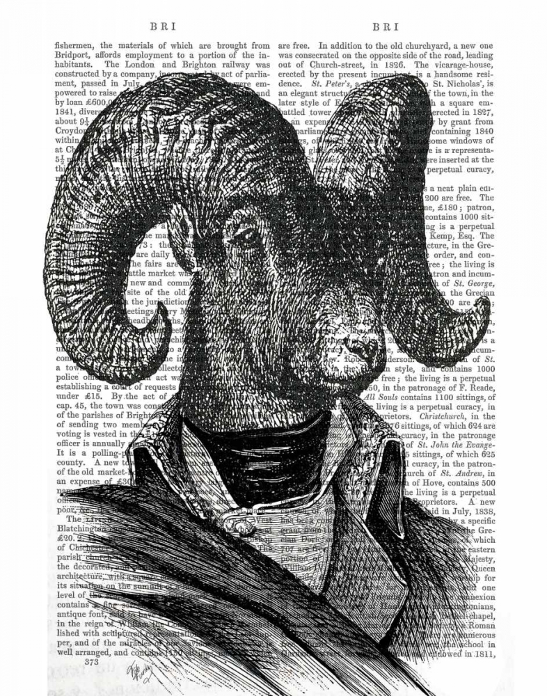 Mountain Goat Portrait