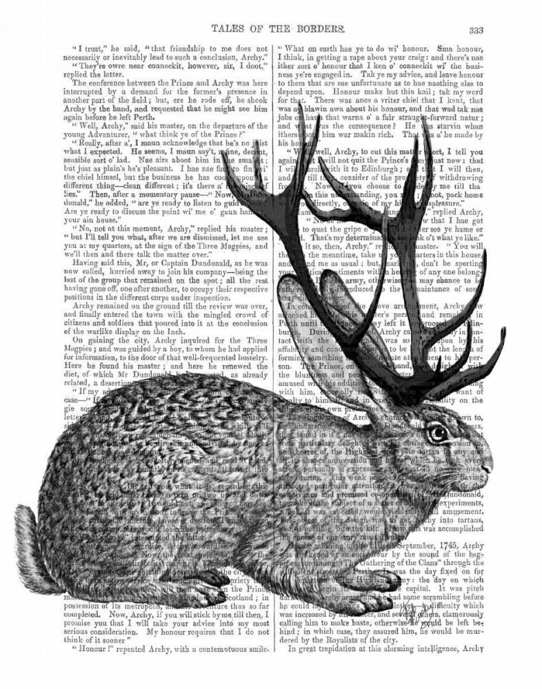 Jackalope Portrait 1