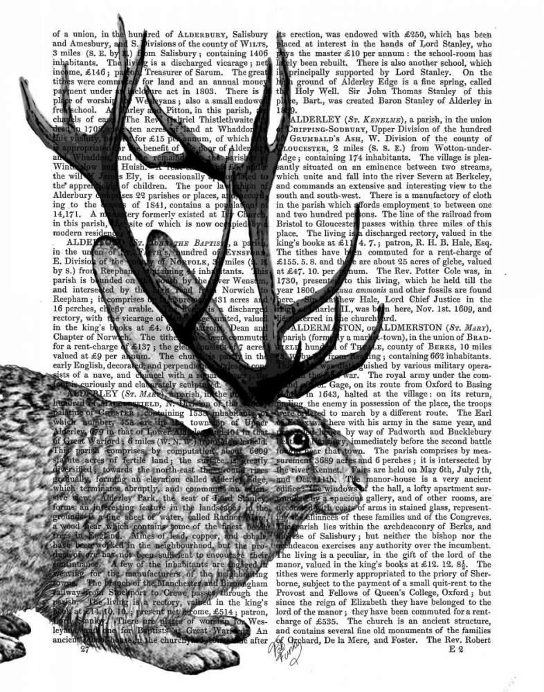 Jackalope Portrait 2