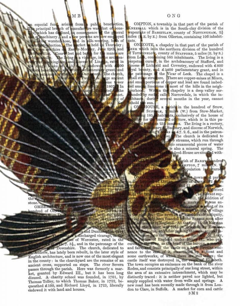 Vintage Spiky Fish