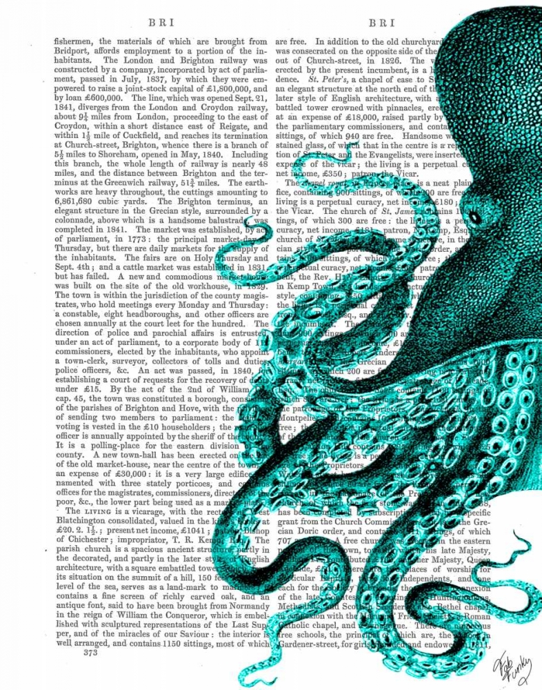 Octopus Green Half