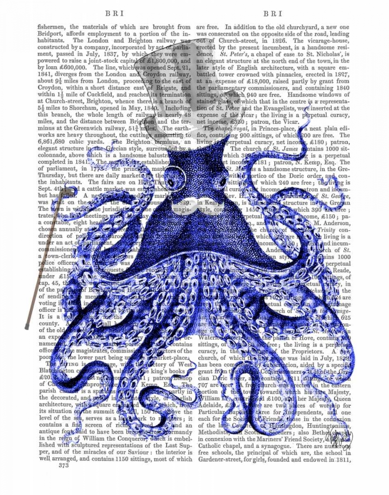 Octopus About Town