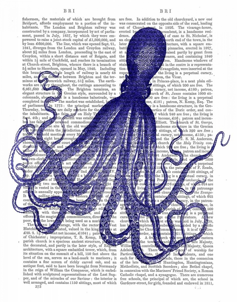 Blue Octopus 4