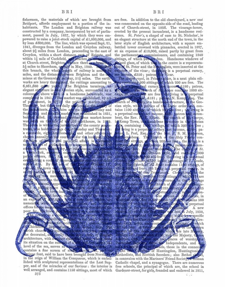 Blue Crab