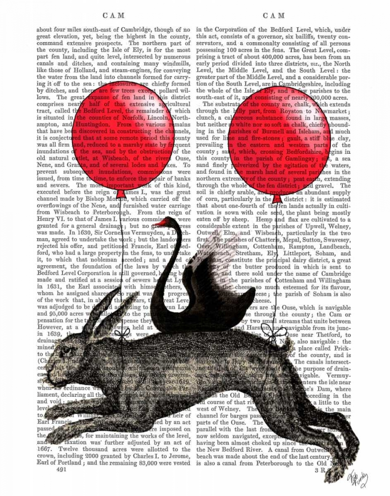 The Hare Ship