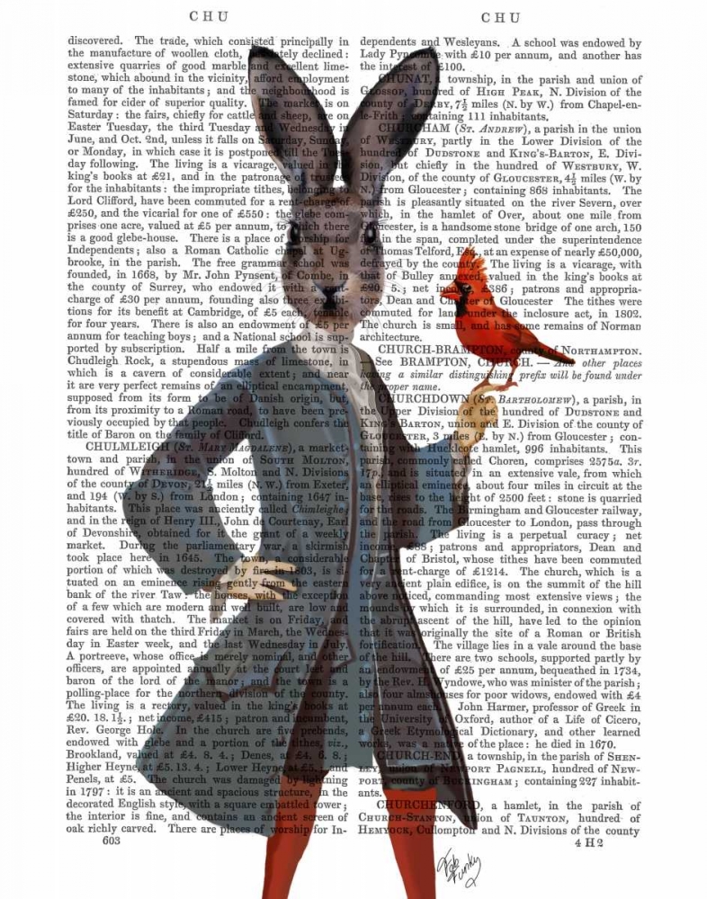 Rabbit and Bird