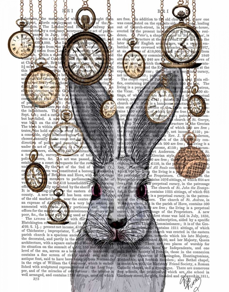 Rabbit Time