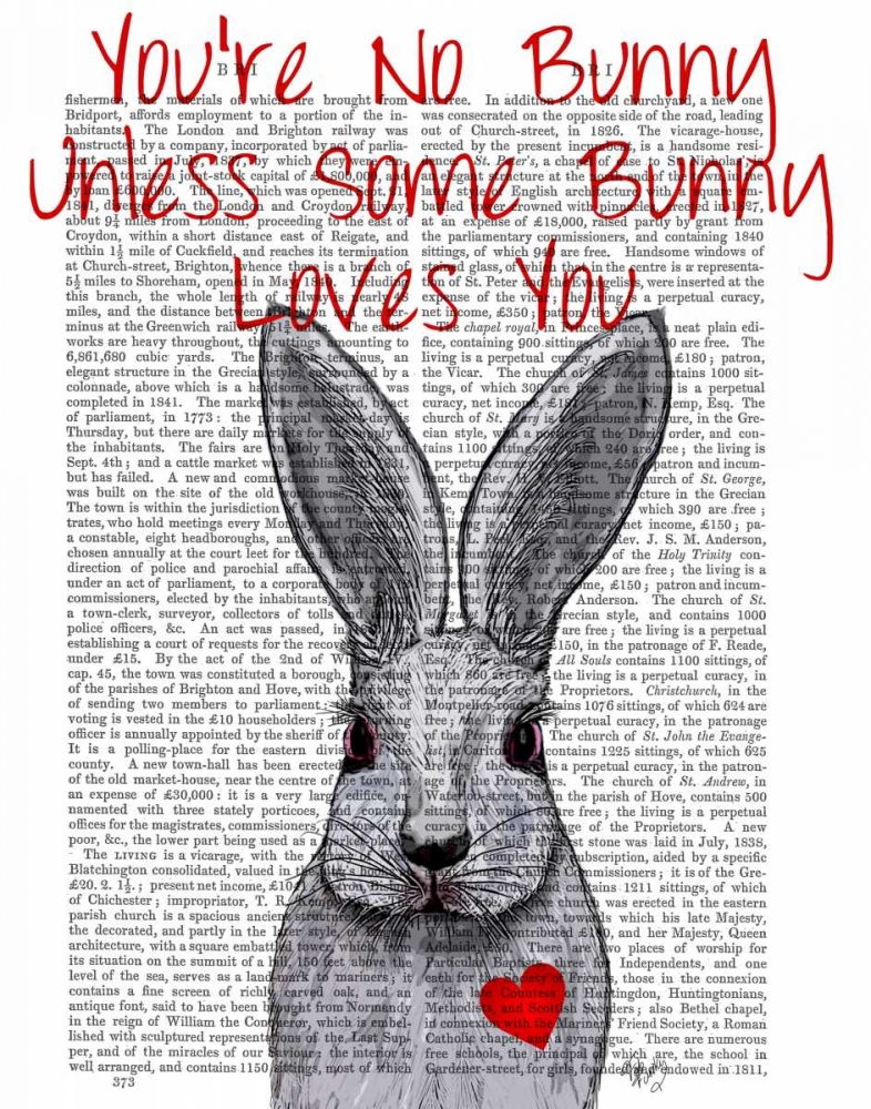 Youre No Bunny