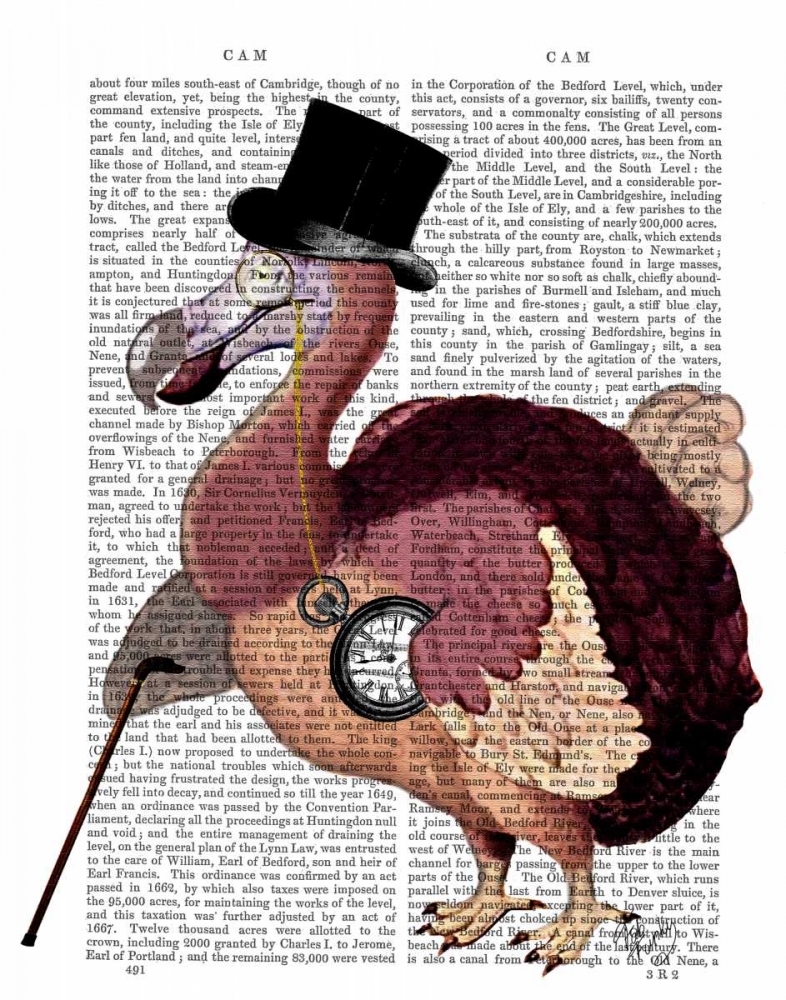 Dapper Dodo