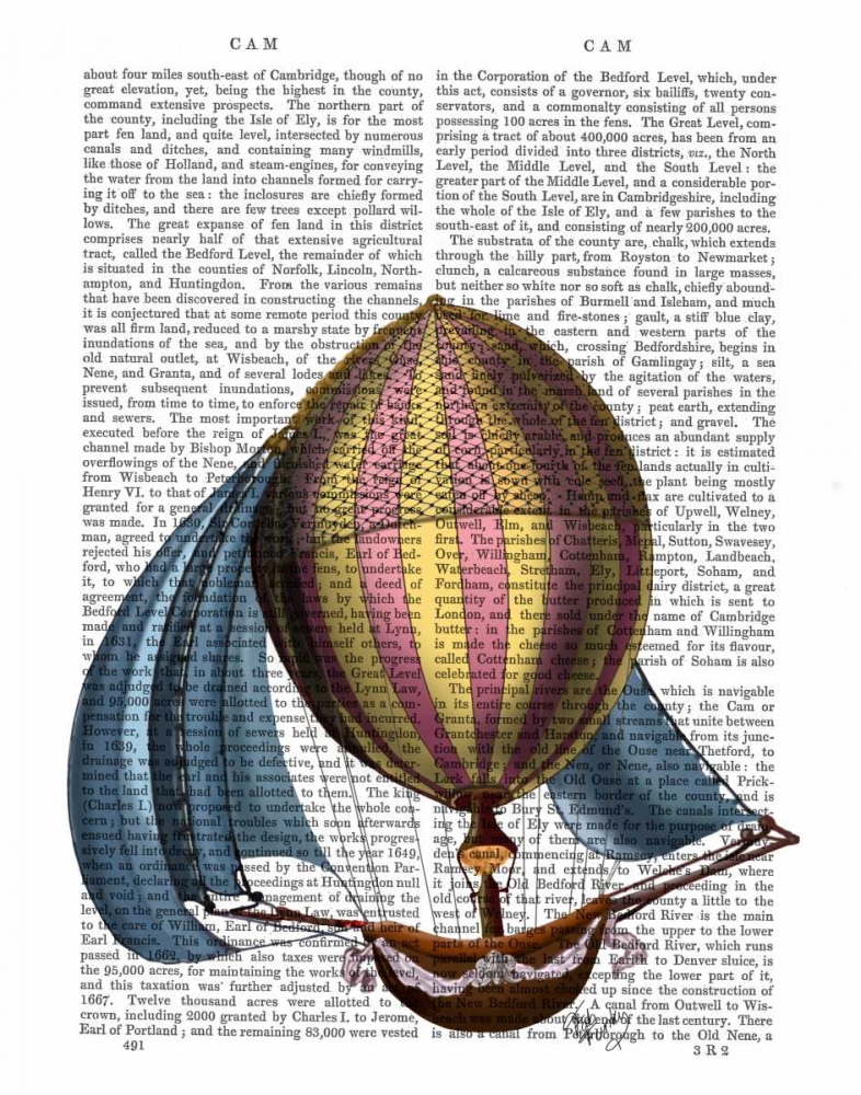 AirShip with Blue Sails