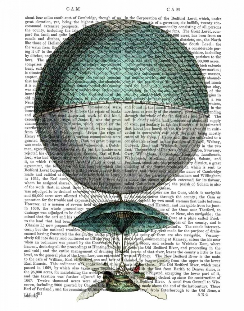 Vaisseau Volant Hot Air Balloon