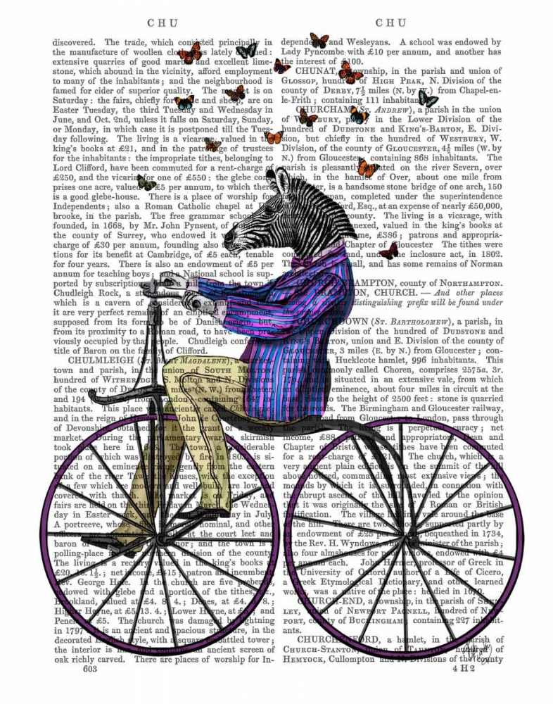 Zebra On Bicycle