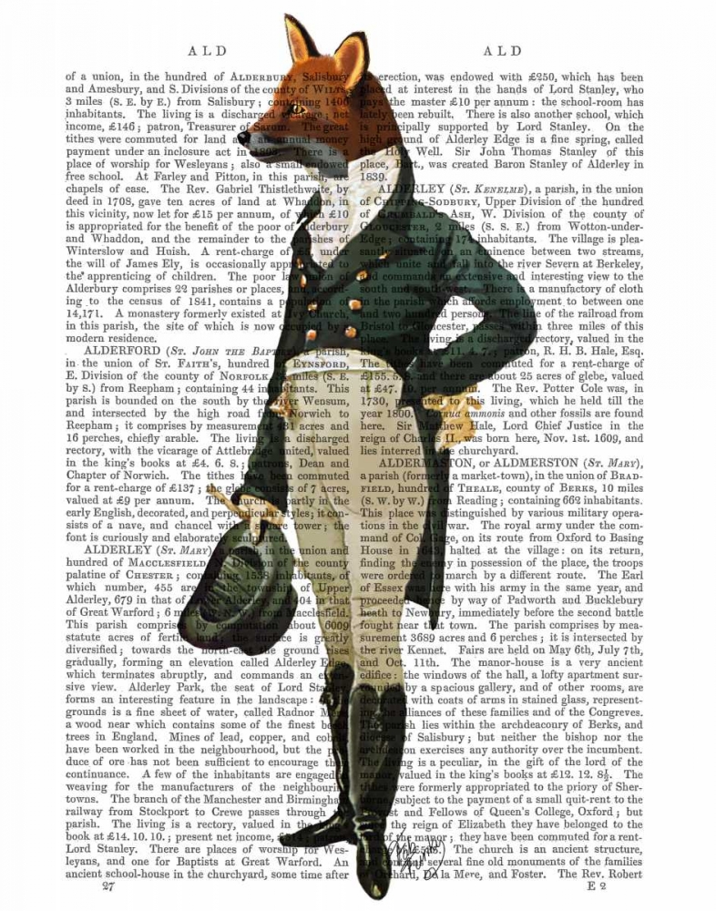 Dandy Fox Full