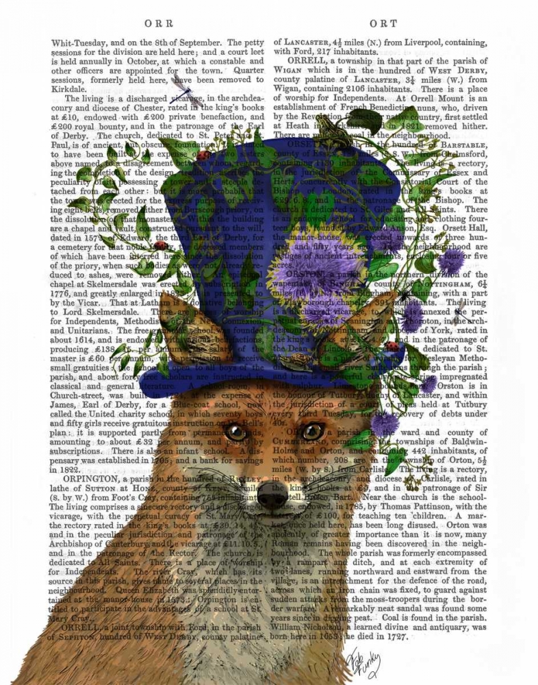 Fox Mad Hatter