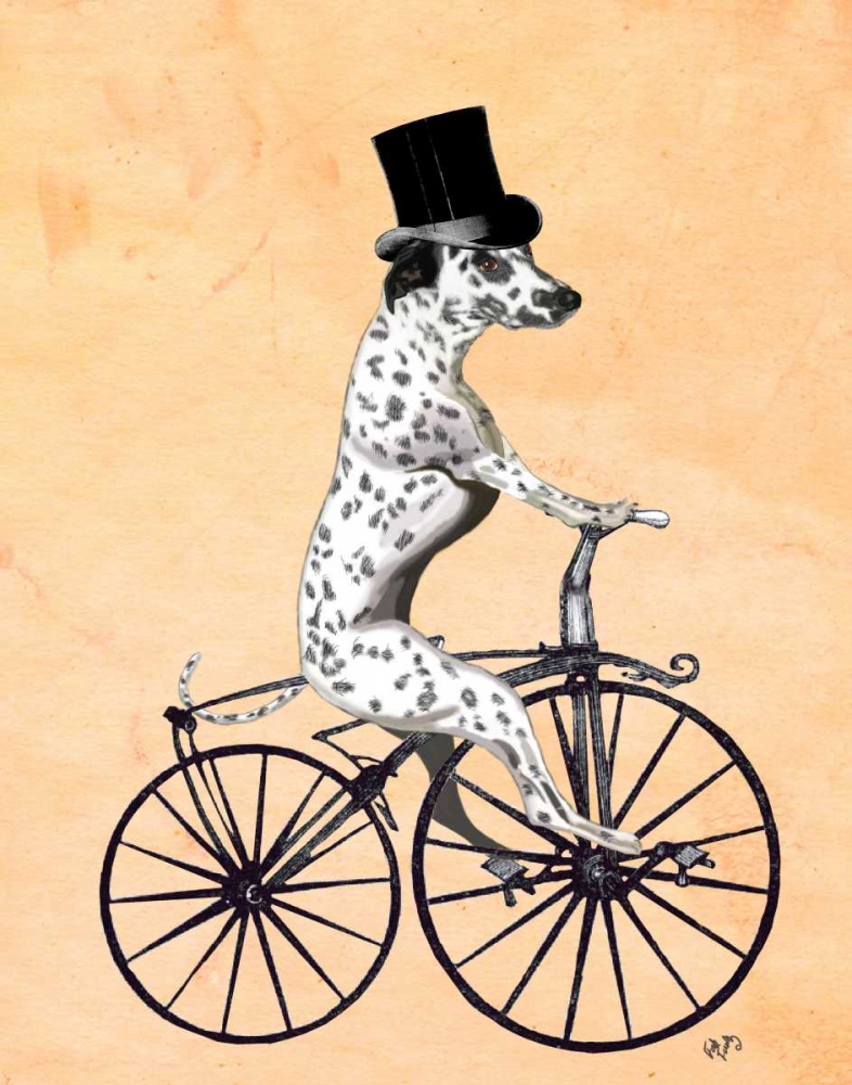 Dalmatian On Bicycle