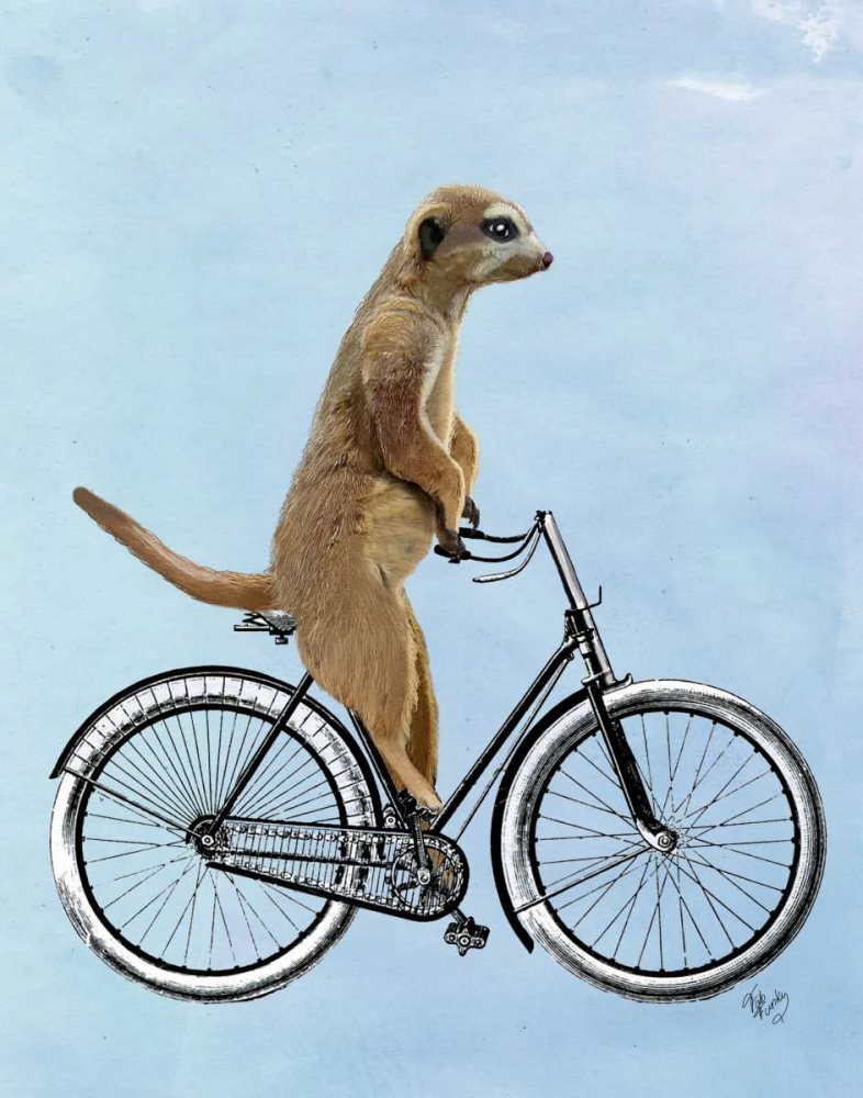 Meerkat on Bicycle