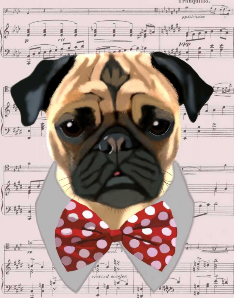 Pug with Red and White Spotty Bow Tie