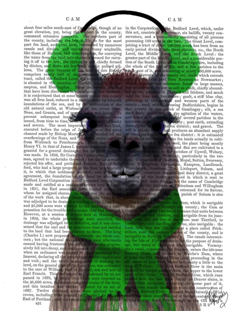 Chilly Llama, Green