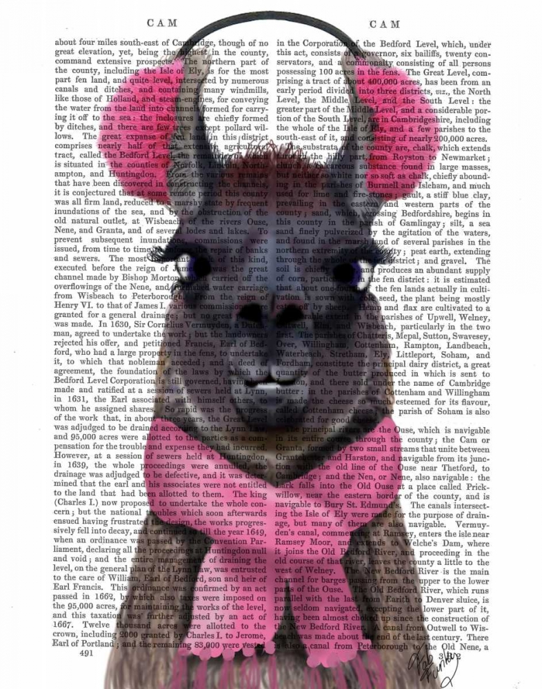 Chilly Llama, Pink