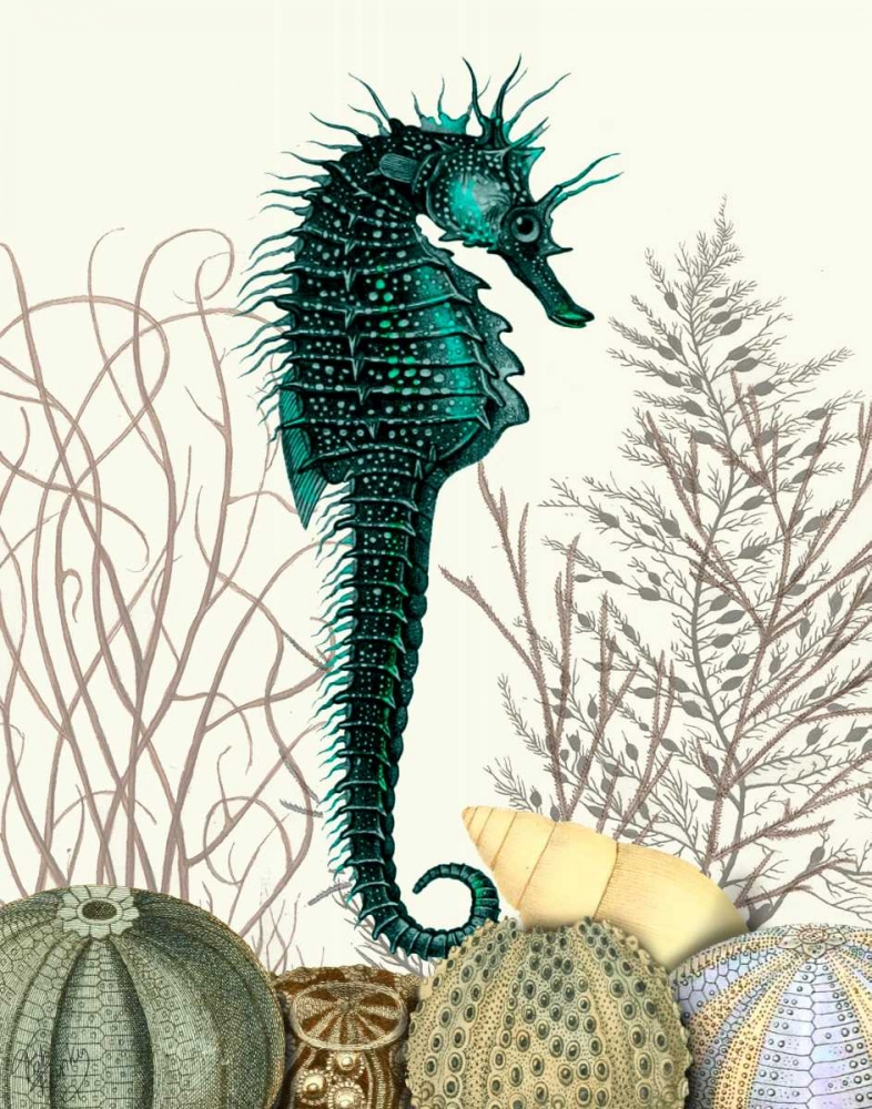 SeaHorse and Sea Urchins