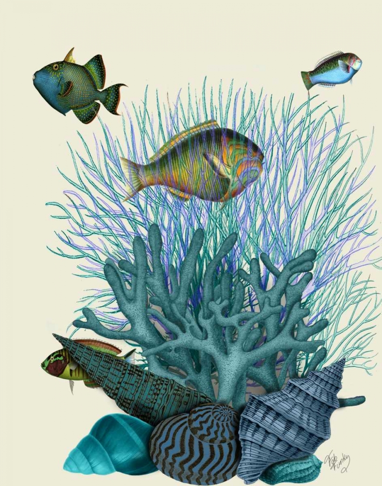Fish Blue Shells and Corals