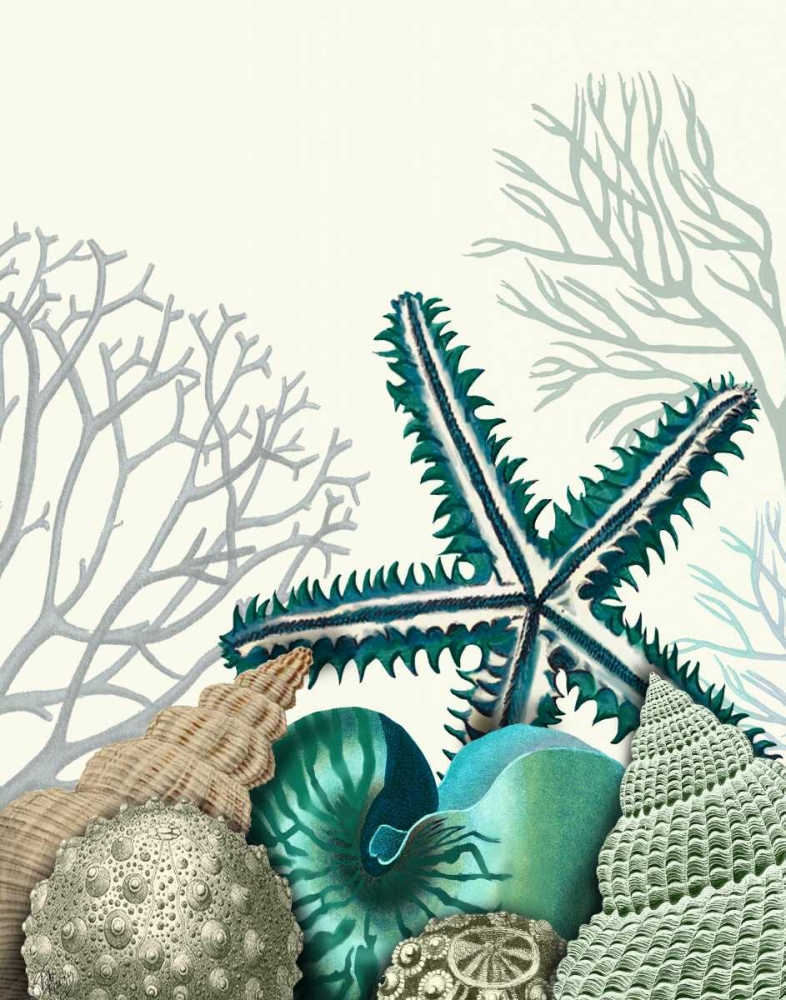 Starfish Under the Sea