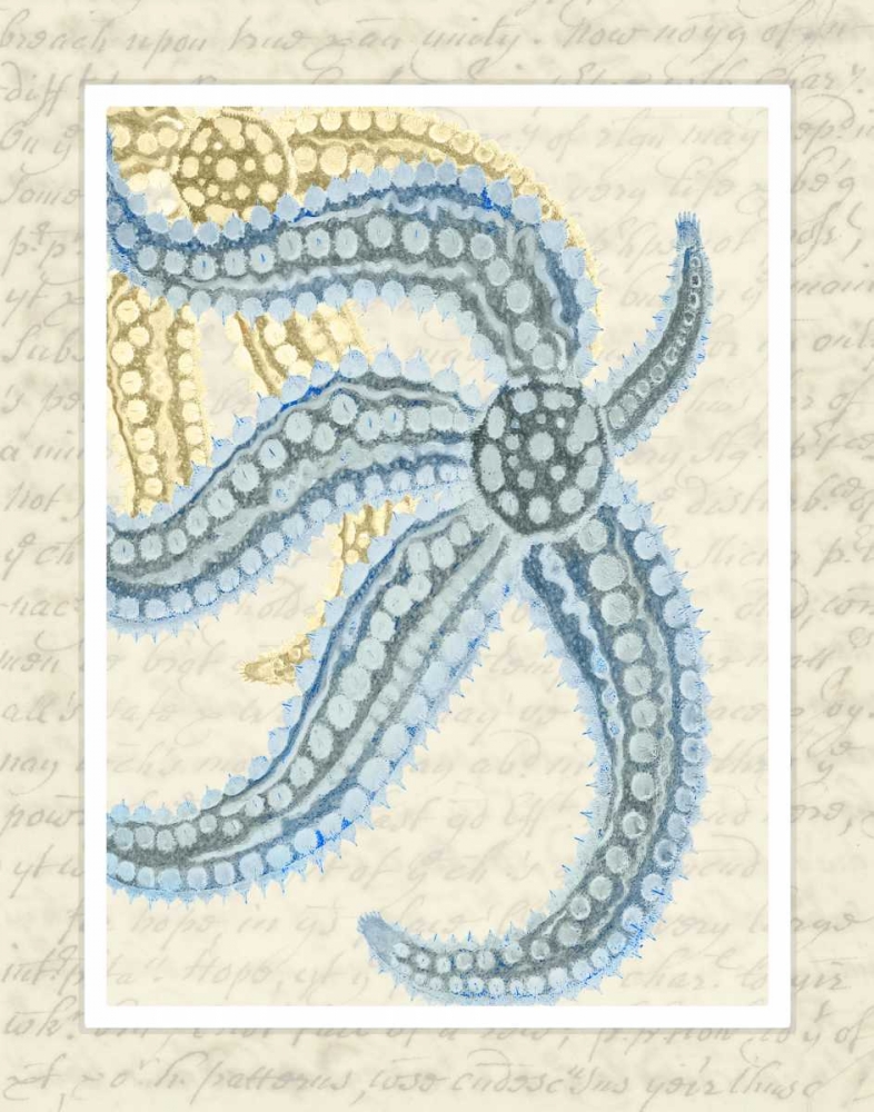Blue Corals On VIntage Script a