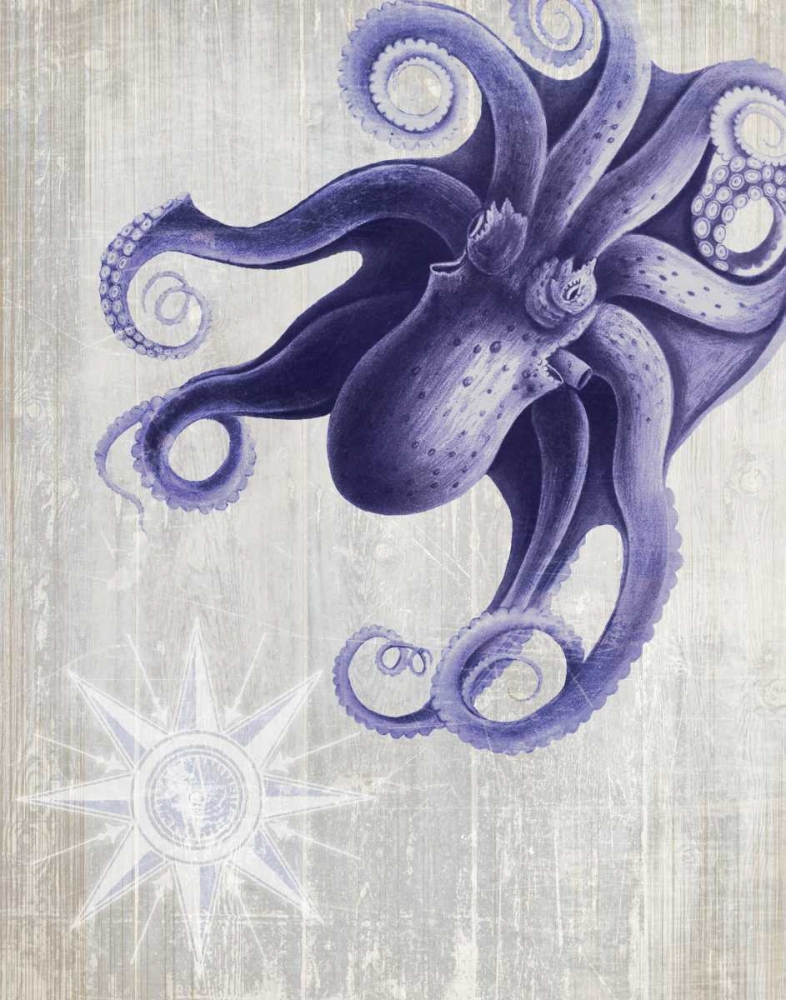 Octopus 7