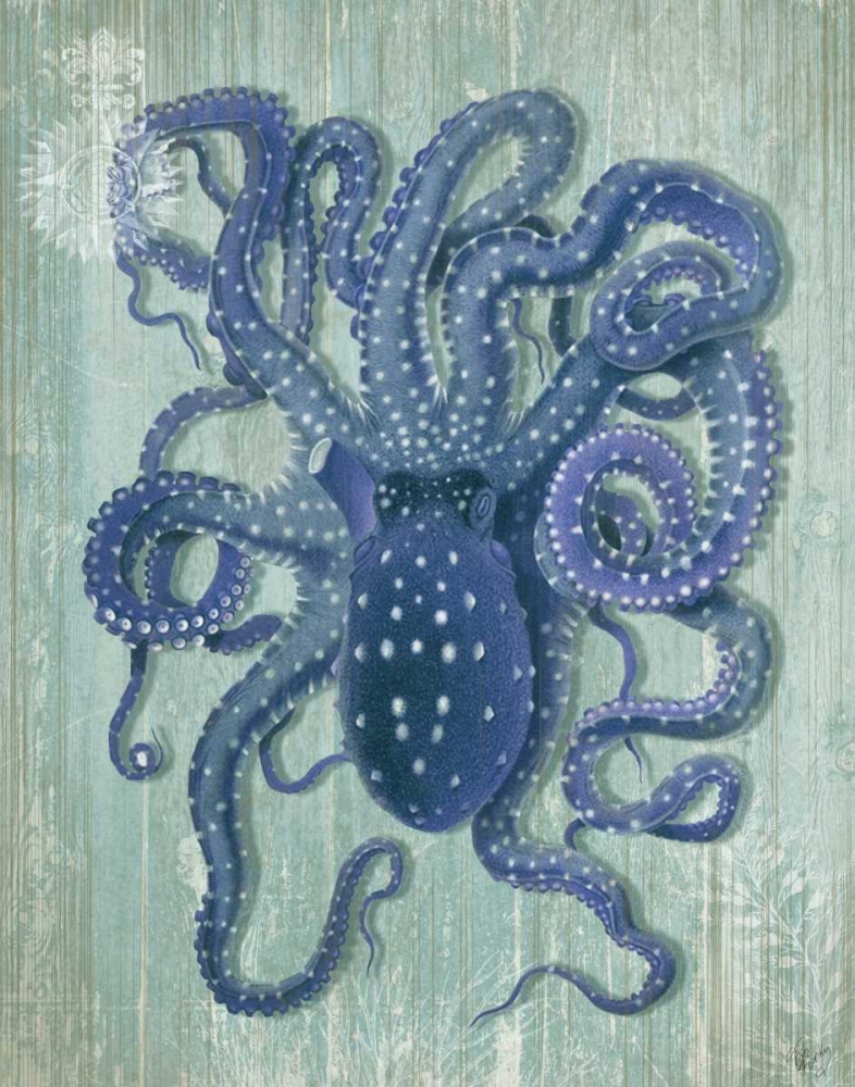 Coastal Life Collection 1 a