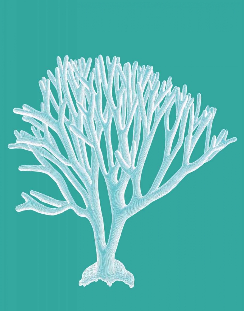 Coral 2 White on Turquoise