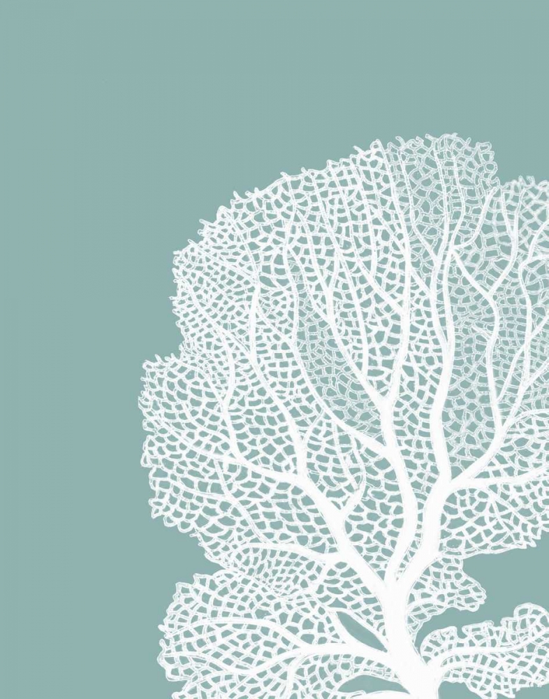 Corals White on Mist Blue Green b