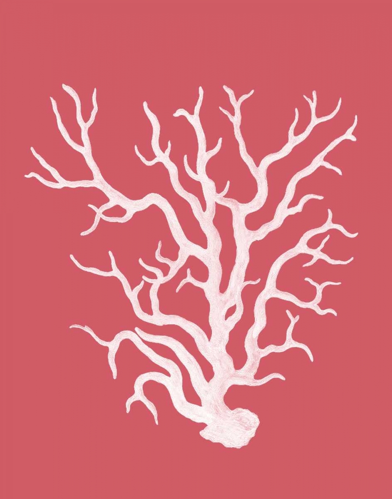 Corals White on Coral a