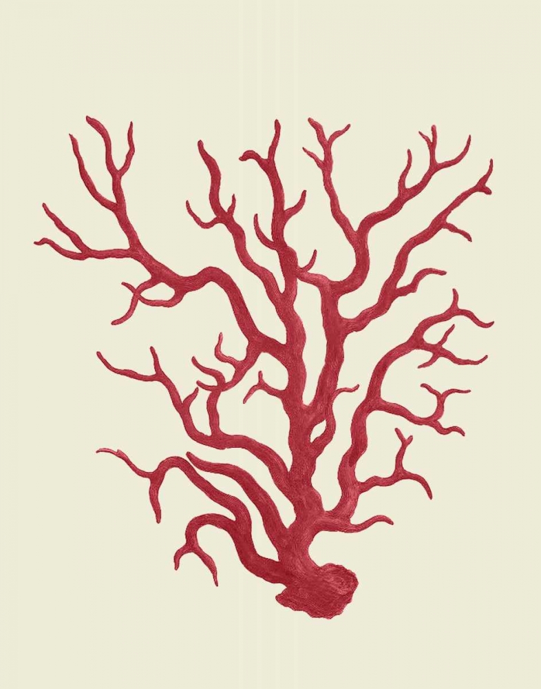 Corals Coral On Cream a