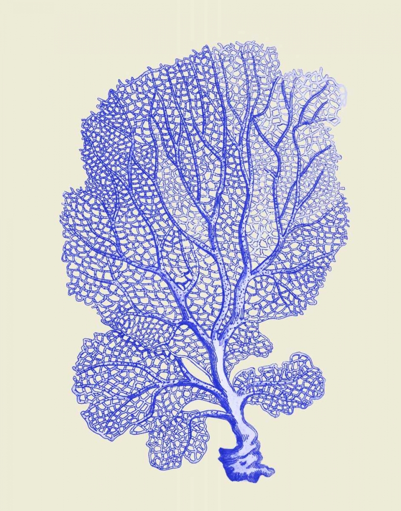 Blue Corals b