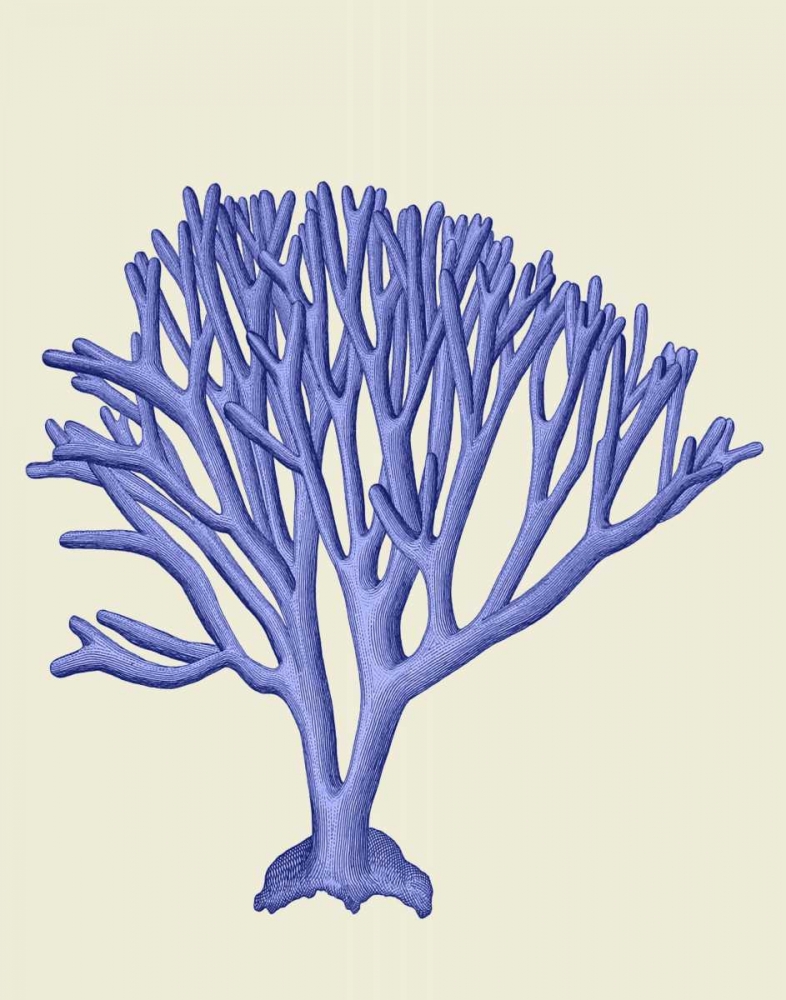 Blue Corals c