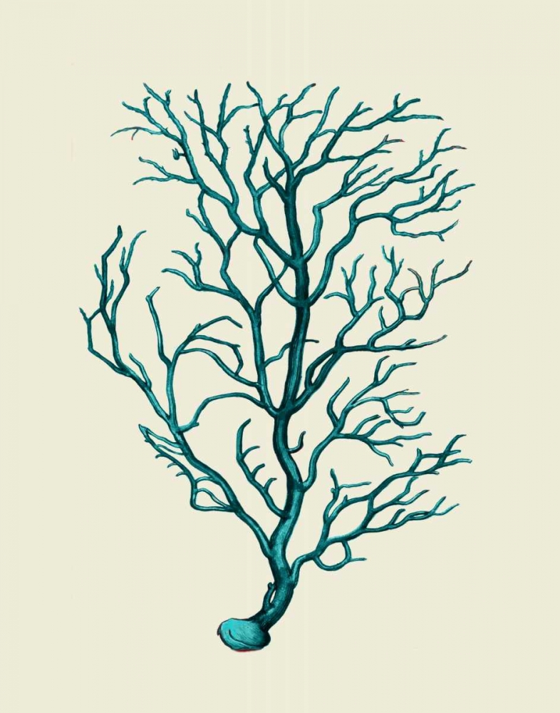 Corals Turquoise On Cream b
