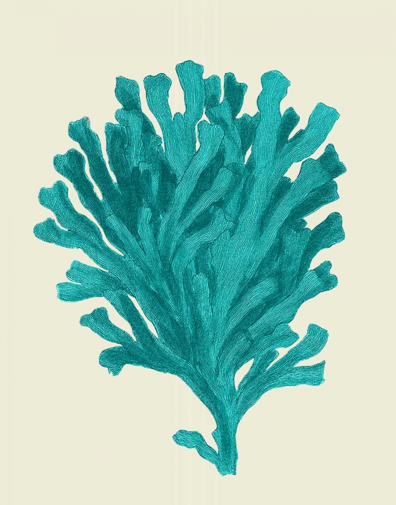 Corals Turquoise On Cream d