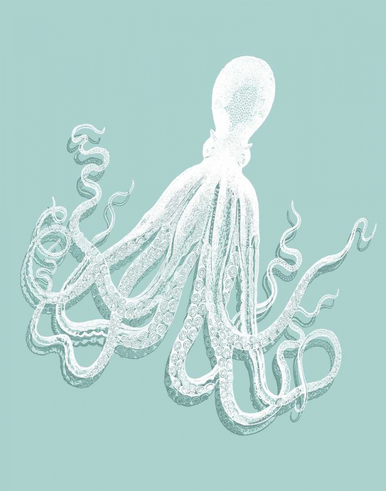 Octopus 1 White on Seafoam