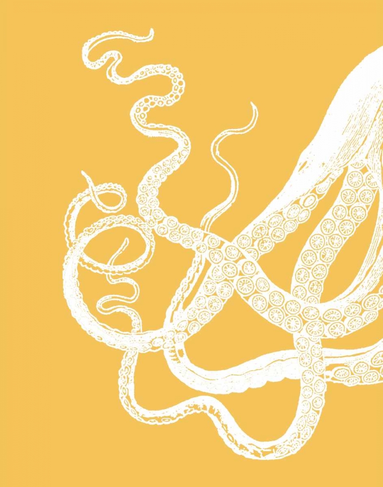 Octopus Tentacles White On Mustard