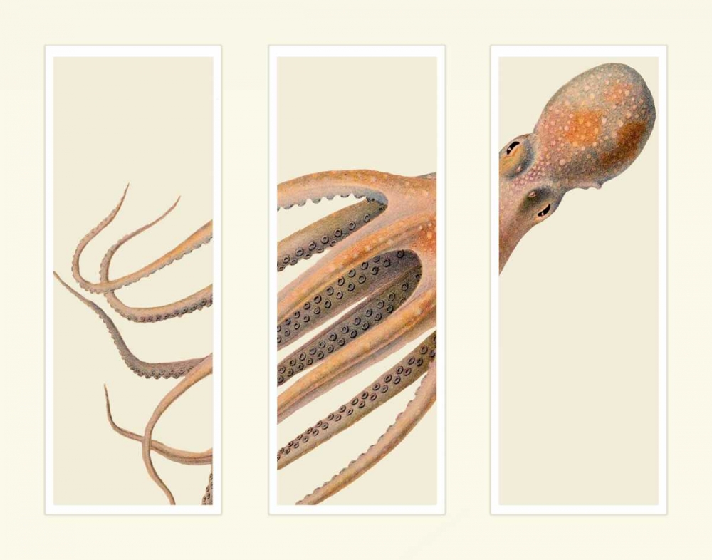 Octopus on 3 panels