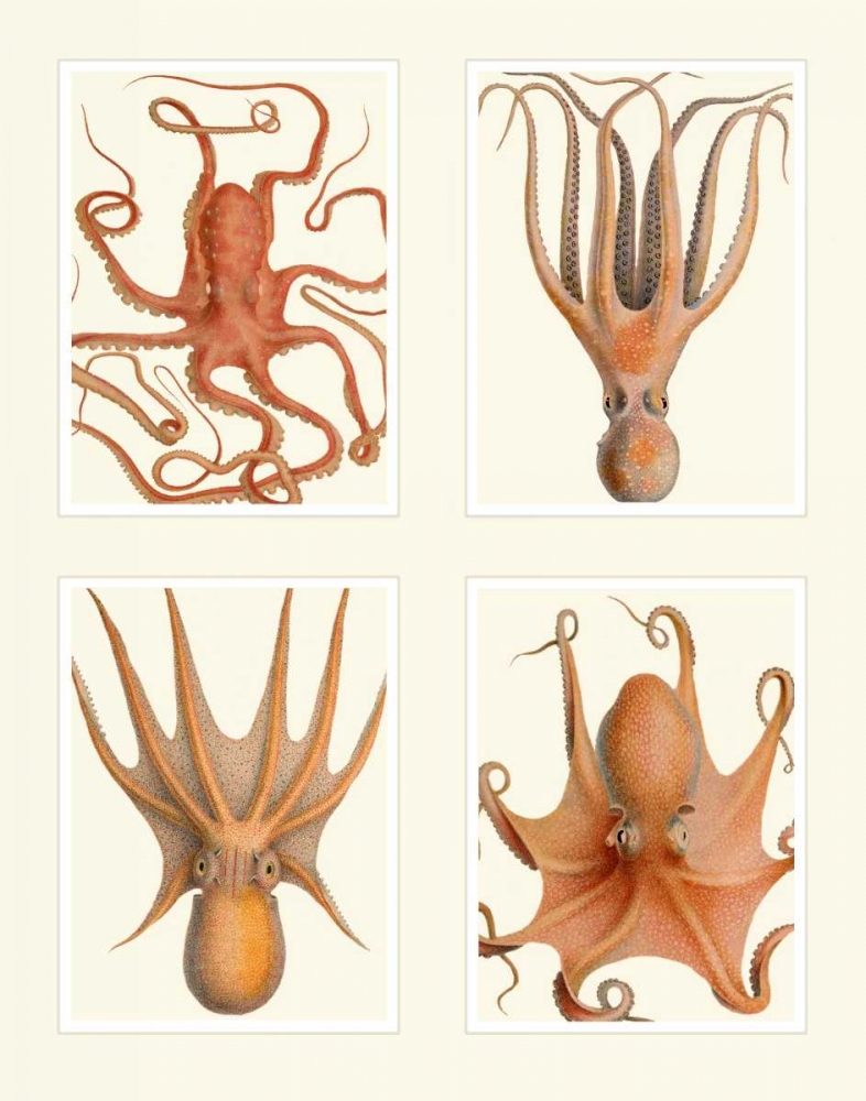 Octopus on 4 Panels