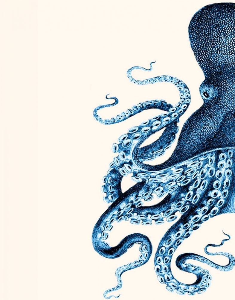 Octopus Navy Blue and Cream a