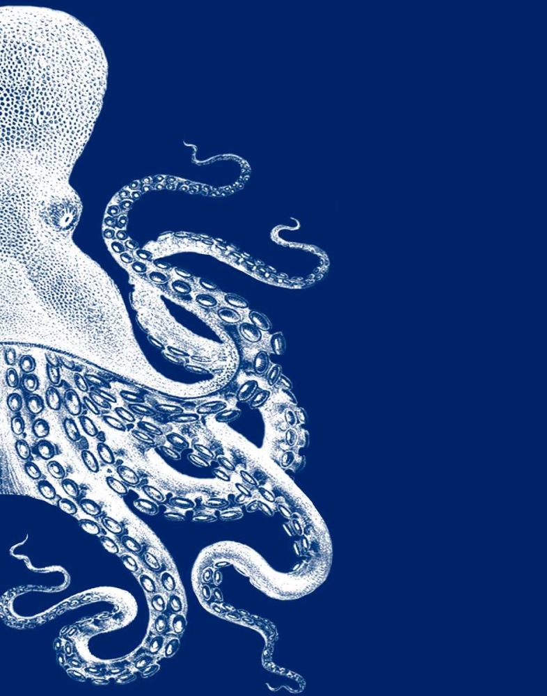 Octopus Navy Blue and Cream b
