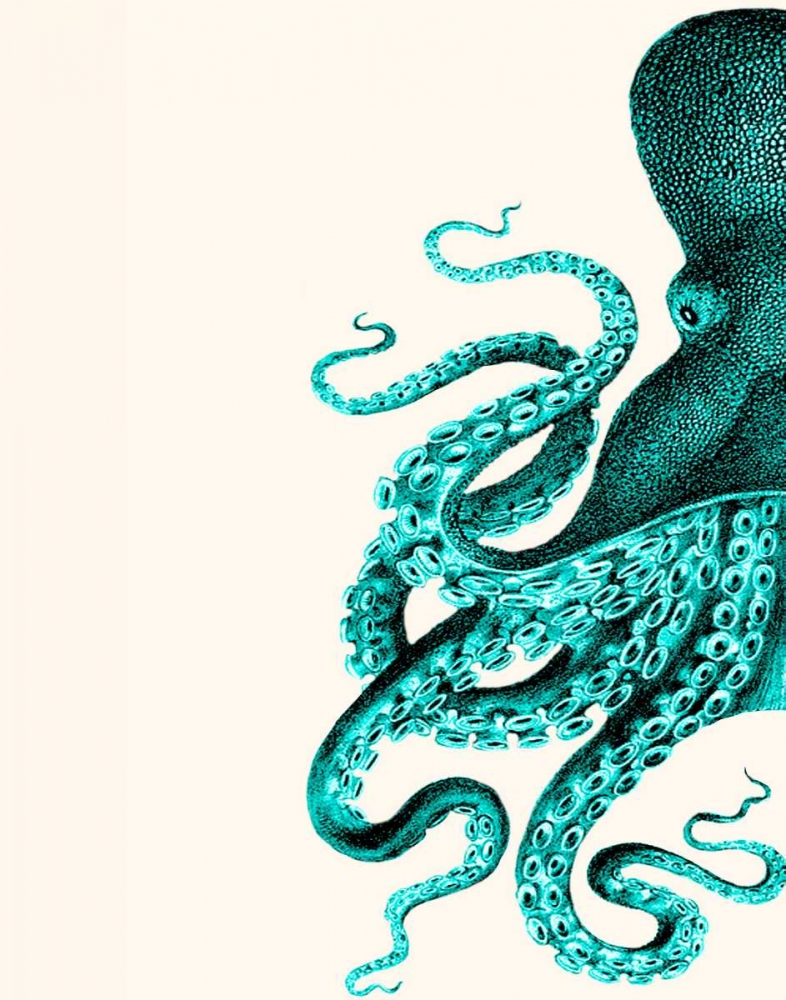 Octopus Green and Cream a