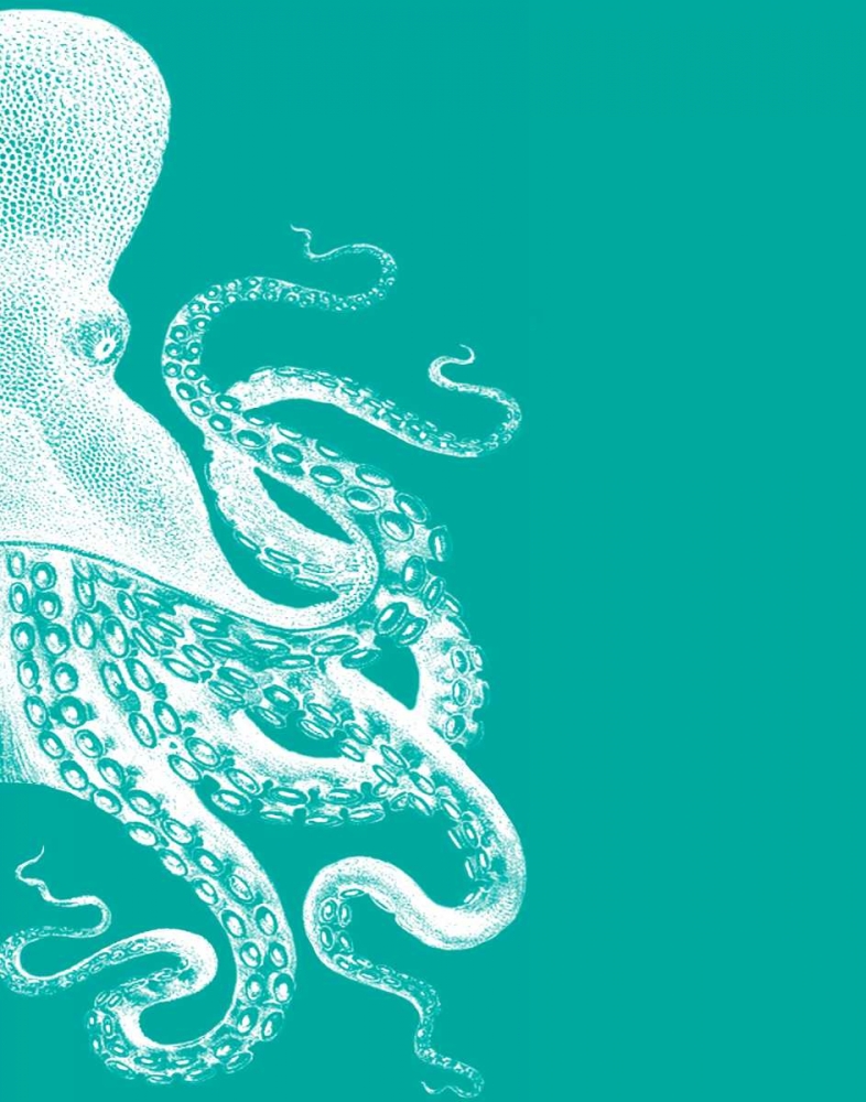 Octopus Green and Cream b